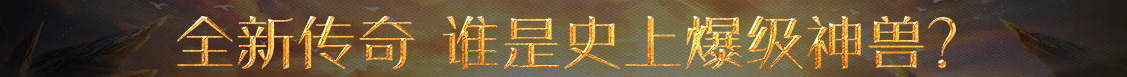 期权交易所